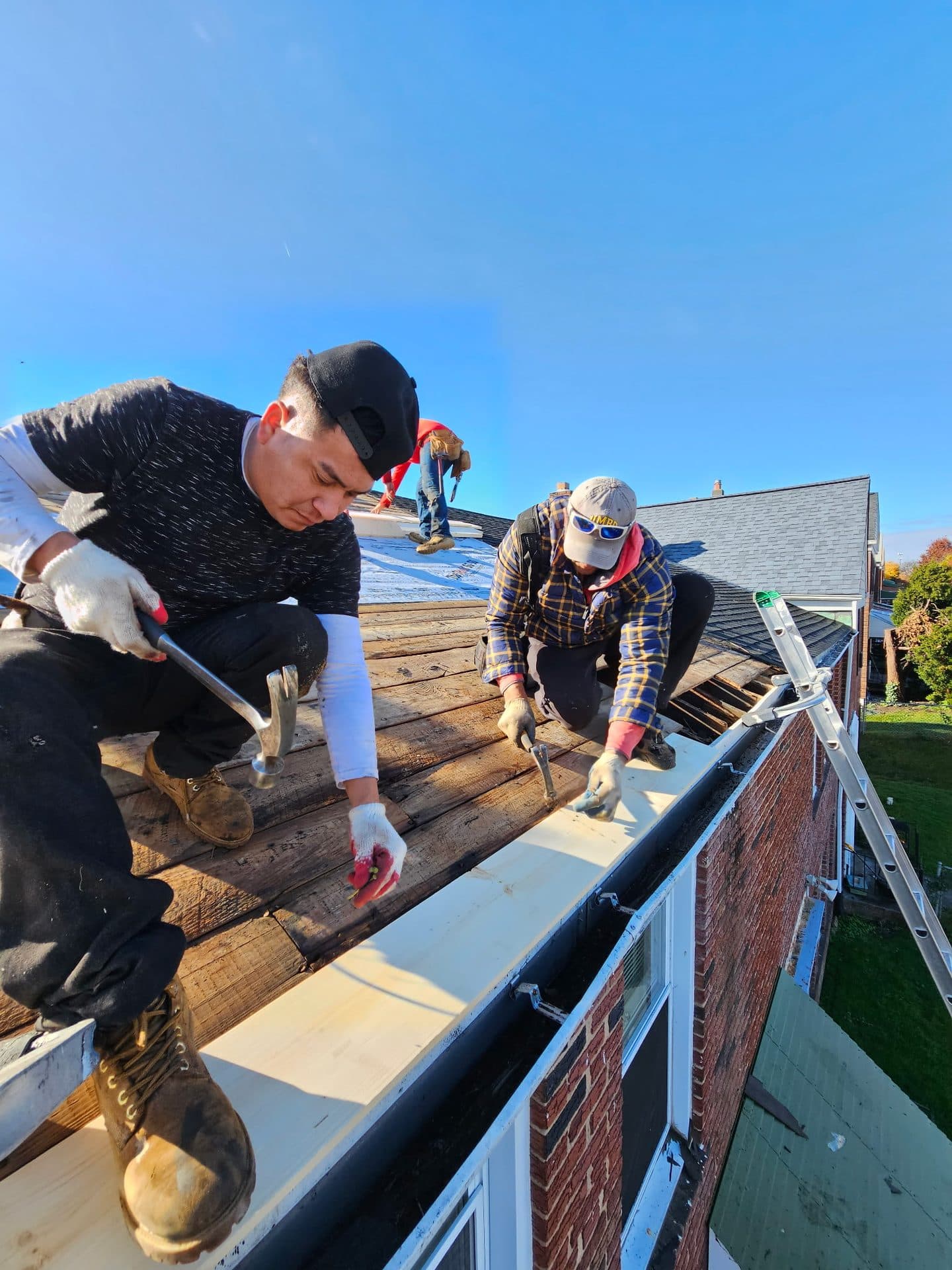 Brand-new impact-resistant shingle roof